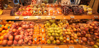 Creating Products Designed for Long-Term Sustainability