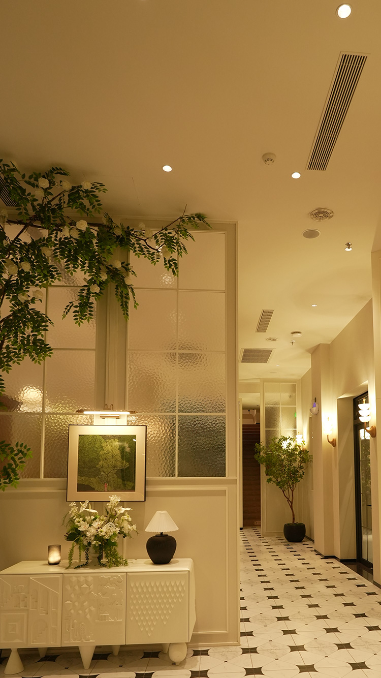 LULU ai downlight
Redefining commercial lighting