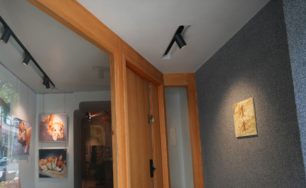 Central Asia Halo Gallery - Chengdu, China