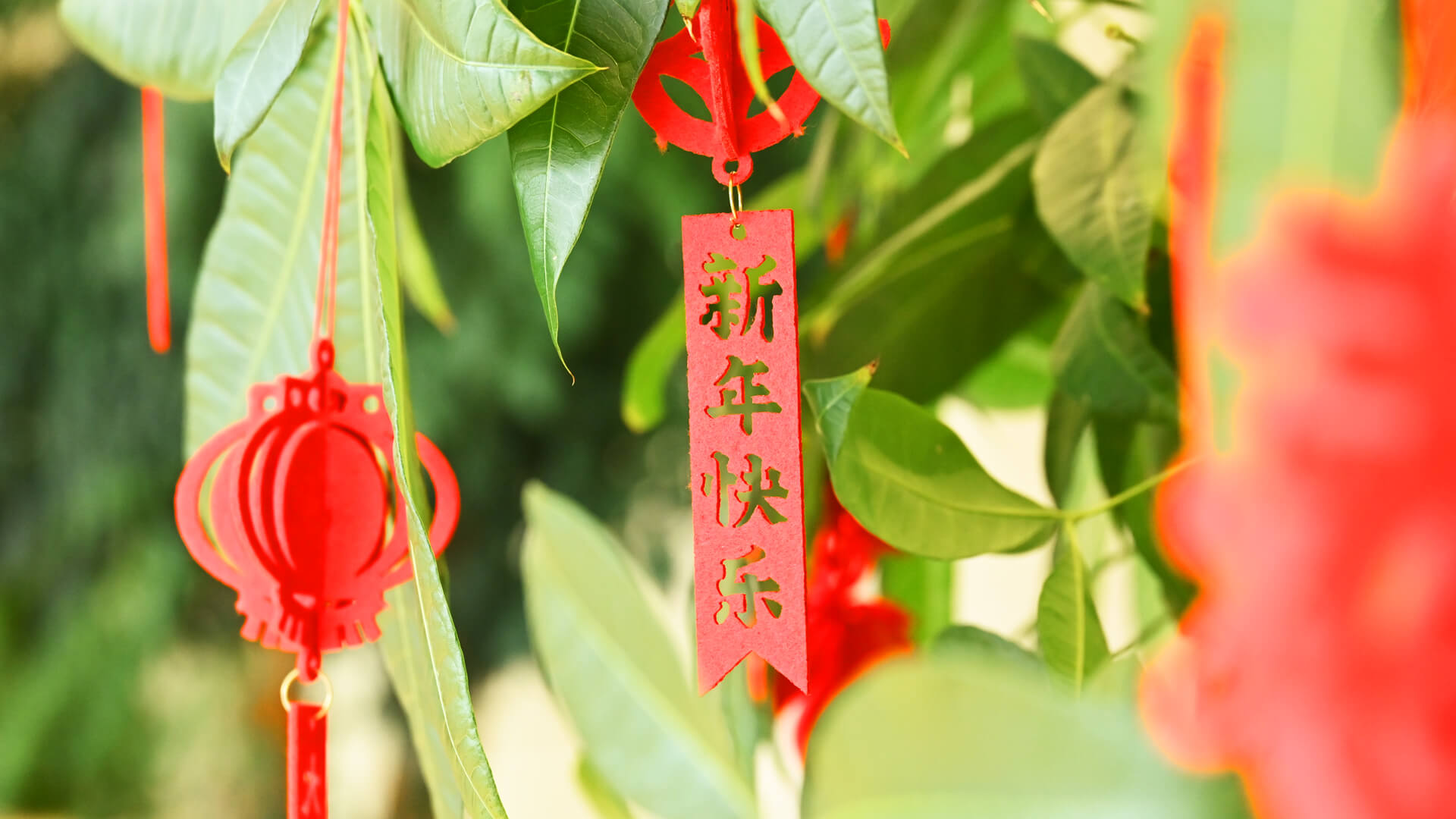 Officially Back & Ready to Ride!