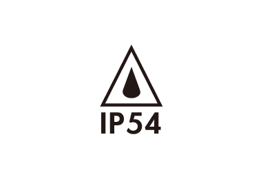 IP 54
