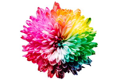 AIColor